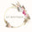 KT Boutique - Home